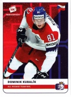 2020 Stick with czech hockey #32 Kubalk Dominik