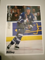 Plakt A2 Jerome Iginla / Mats Sundin 