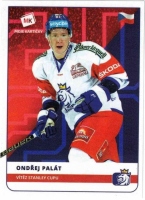 2020 Stick with czech hockey #30 Palt Ondej