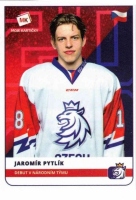 2020 Stick with czech hockey #17 Pytlk Jaromr