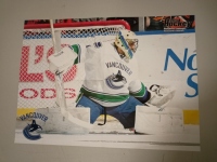 Plakt A2 Roberto Luongo / Nicklas Lidstrom 