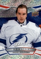 2022-23 Upper Deck MVP Domains #NA24 Andrei Vasilevskiy