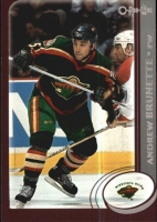 2002-03 O-Pee-Chee #47 Andrew Brunette