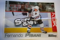 Plakt A2 Markus Naslund / Fernando Pisani