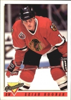 1993-94 OPC Premier #13 Brian Noonan