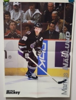 Plakt A2 Fernando Pisani / Markus Naslund