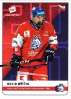 2020 Stick with czech hockey #26 Jiek David