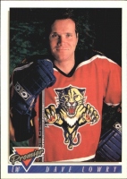  1993-94 OPC Premier #244 Dave Lowry