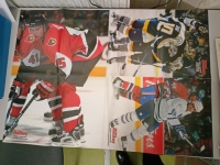 Plakt A1 Dominik Haek / Kariya Lindros Heatley