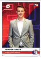 2020 Stick with czech hockey #2 Kubalk Dominik