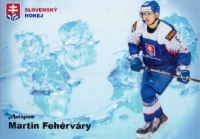 Reprezentace Slovenska  / Martin Fehrvry
