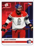 2020 Stick with czech hockey #3 Vorek Jakub