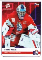 2020 Stick with czech hockey #22 Pak Luk