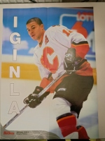 Plakt A2 Jeremy Roenick / Jerome Iginla 