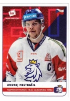 2020 Stick with czech hockey #41 Nestrail Andrej