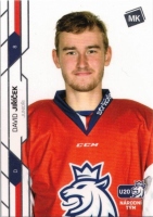 2021 MK Czech Ice Hockey Team #50 Jiek David