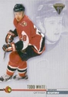 2001-02 Titanium #102 Todd White