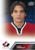 2013-14 Upper Deck Team Canada #36 Daniel Carcillo