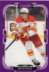 2025-26 O-Pee-Chee Purple #341 Martin Posp�il  */49