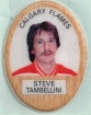 1983-84 Funmate NHL Puffy Stickers / Steve Tambellini