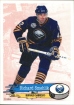 1995-96 Panini Stickers #22 Richard mehlik