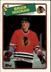 1988-89 Topps #165 Brian Noonan RC