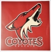 Velk Samolepka 25 x 25 cm Phoenix Coyotes