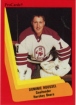 1990-91 ProCards AHL/IHL / Dominic Roussel