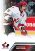 2013-14 Upper Deck Team Canada #73 Pierre-Marc Bouchard