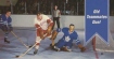 1994 Parkhurst Tall Boys #154 G. Howe / T. Sawchuk IA