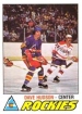 1977-78 O-Pee-Chee #343 Dave Hudson