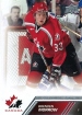 2013-14 Upper Deck Team Canada #19 Brenden Morrow