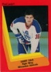 1990/1991 ProCards AHL/IHL / Garry Valk
