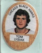 1983-84 Funmate NHL Puffy Stickers / Tom Lysiak