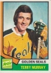 1974-75 Topps #126 Terry Murray