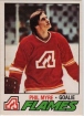 1977-78 O-Pee-Chee #193 Phil Myre