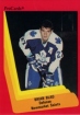 1990/1991 ProCards AHL/IHL / Brian Blad