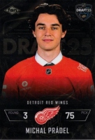 Karta FAN Draft #191 Michal Pradel