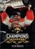 2022 FAN Stanley Cup Vtek Vanek
