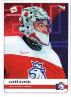 2020 Stick with czech hockey #33 Dostl Luk