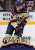 2025 Karta PM GALLERY #13 David Tom�ek