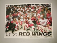 Plakt A2 Detroit Red Wings SC / Pavel Dacjuk