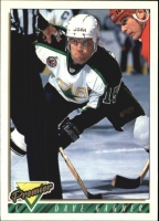 1993-94 OPC Premier #183 Dave Gagner