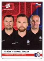 2020 Stick with czech hockey #13 Straka Martin/Pen Filip/paek Jaroslav