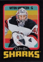 2024-25 O-Pee-Chee Retro Black #457 Vtek Vanek