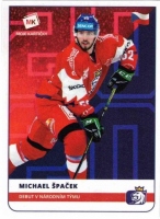 2020 Stick with czech hockey #24 paek Michael