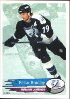 1995-96 Panini Stickers #124 Brian Bradley