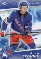 2026 FAN HOCKEY 100/1 Adam S�kora