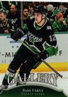 2025 Karta PM GALLERY #22 Radek Faksa